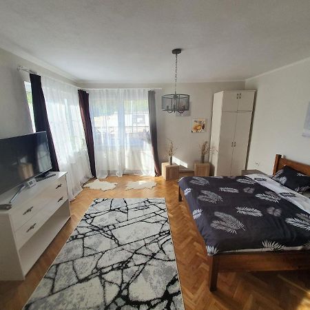 Appartement Andrea Apartman à Sfântu-Gheorghe Extérieur photo