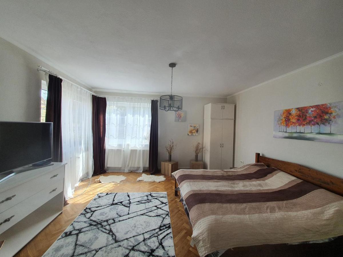 Appartement Andrea Apartman à Sfântu-Gheorghe Extérieur photo