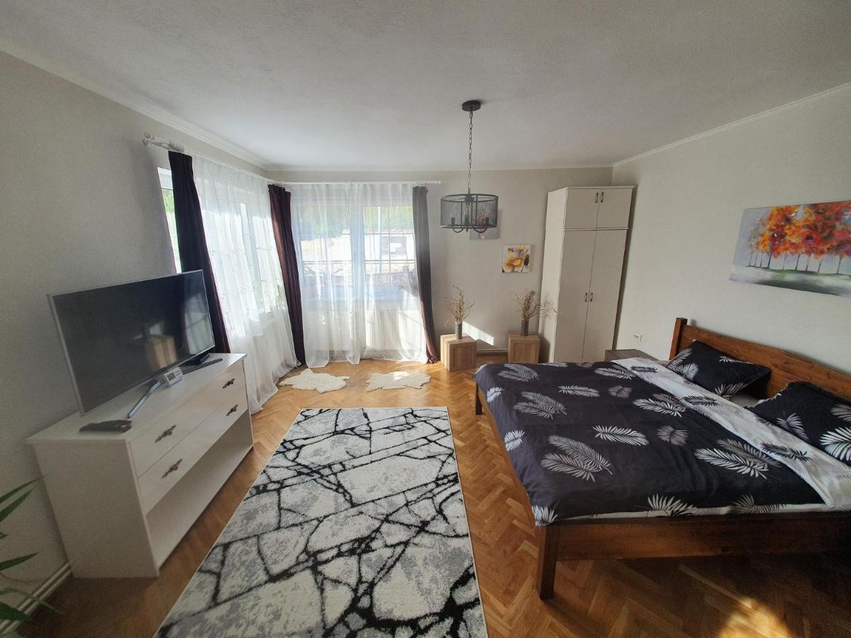 Appartement Andrea Apartman à Sfântu-Gheorghe Extérieur photo