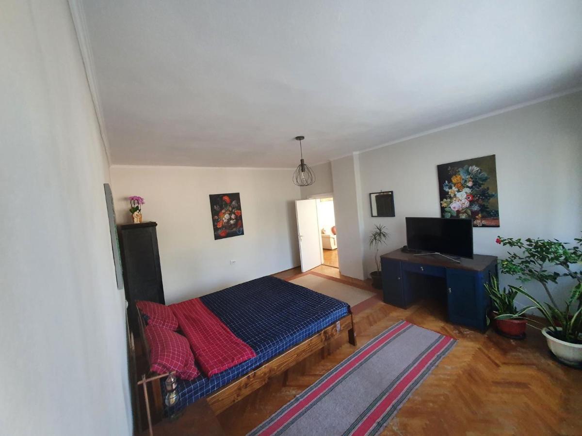 Appartement Andrea Apartman à Sfântu-Gheorghe Extérieur photo