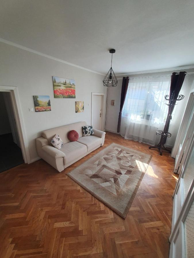 Appartement Andrea Apartman à Sfântu-Gheorghe Extérieur photo